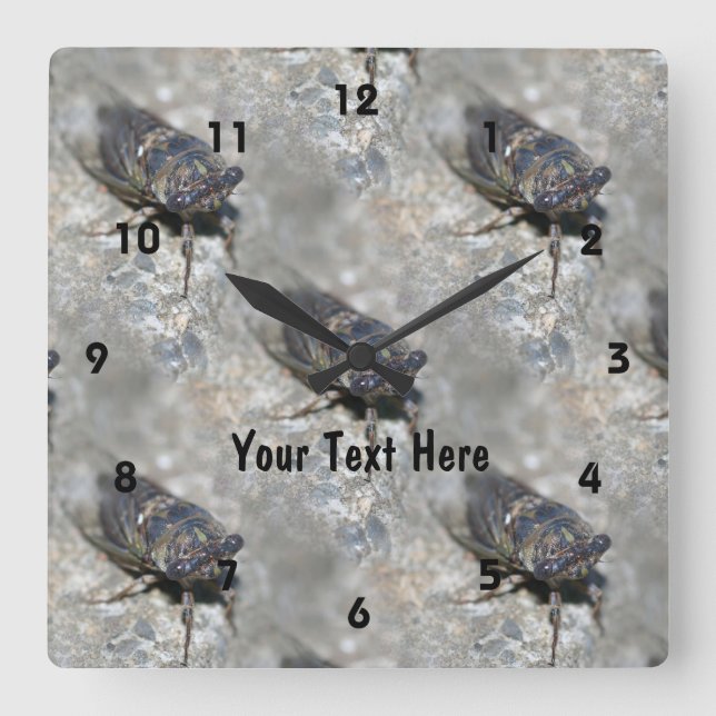 Cicada Bug Face Nature Pattern Personalized Square Wall Clock (Front)