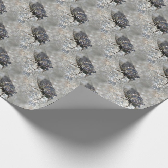 Cicada Bug Face Nature Pattern   Wrapping Paper (Corner)
