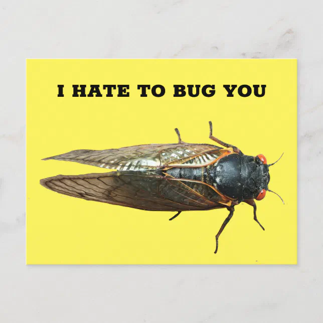 Cicada Bug Insect Photo Custom Message Postcard | Zazzle