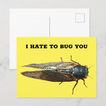 Cicada Bug Insect Photo Custom Message Postcard | Zazzle