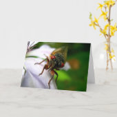 Cicada Card (Yellow Flower)