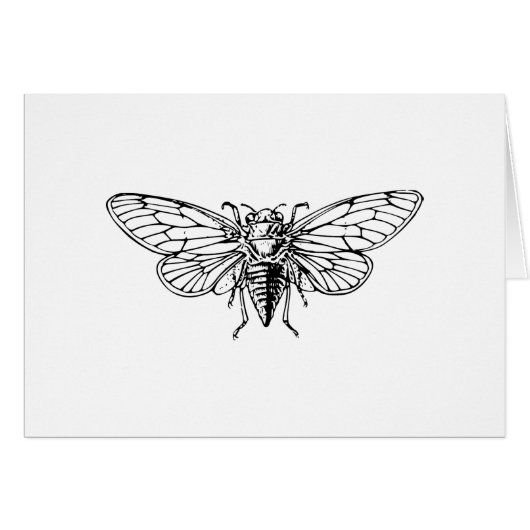 Cicada Cards (Front Horizontal)