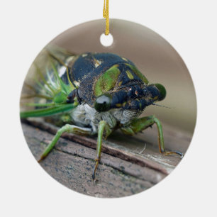 Cicada Ceramic Ornament