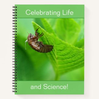 Cicada Exco Skeleton Under Leaf, Life and Science