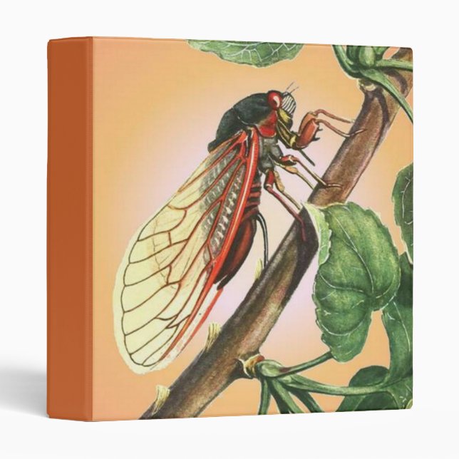 Cicada Insect Illustration Art 3 Ring Binder (Front/Spine)