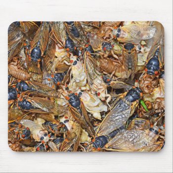 Cicada Invasion Mouse Pad by WackemArt at Zazzle