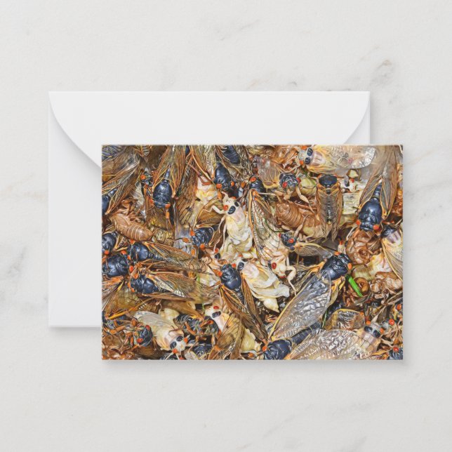 Cicada Invasion Note Card (Front)