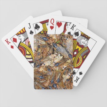 Cicada Invasion Playing Cards by WackemArt at Zazzle