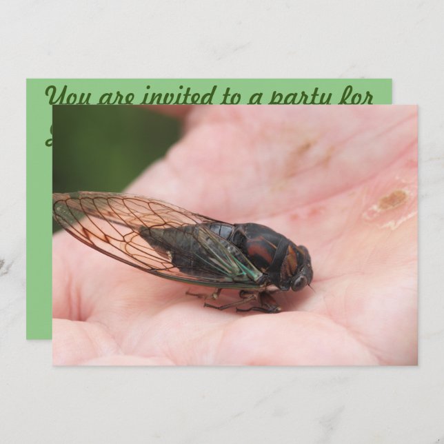 Cicada Invitation (Front/Back)