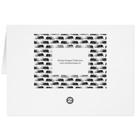 Cicada - Magicicada - Emergence Elegant Pattern Cards (Back Horizontal)