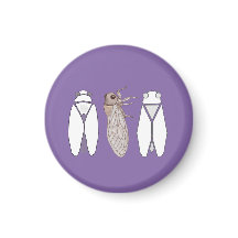 Cicada magnets from Provence, lavender color