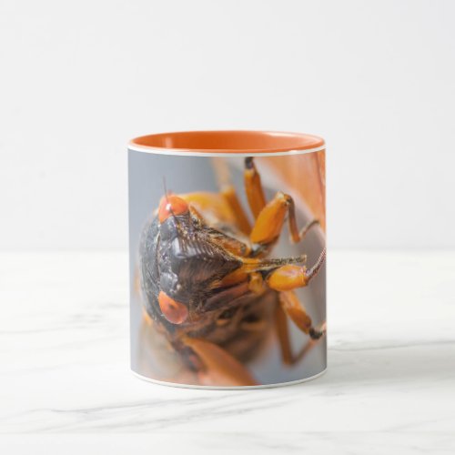 Cicada Mania Magicicada Orange Mug