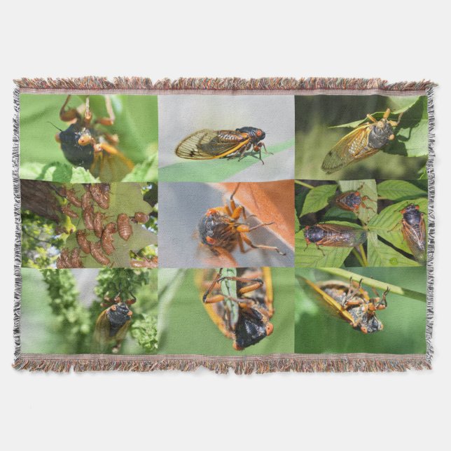 Cicada Mania throw blanket (Front)