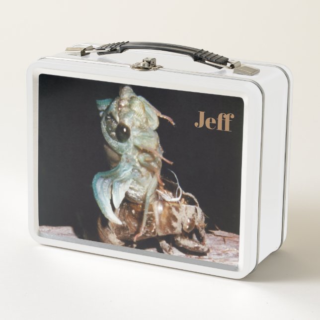 Cicada Metal Lunch Box (Front)