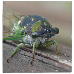 Cicada Napkin