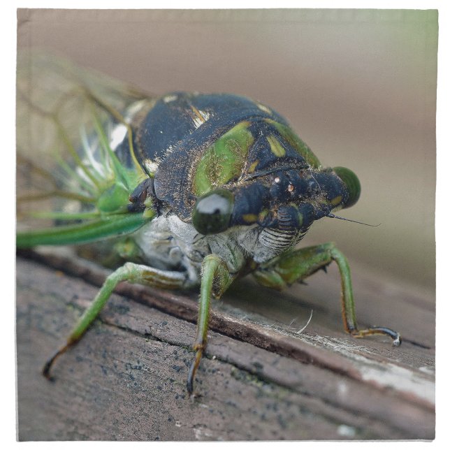 Cicada Napkin (Front)