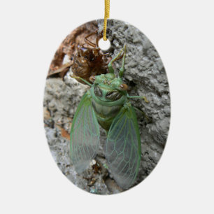 Cicada on the Wall Ceramic Ornament