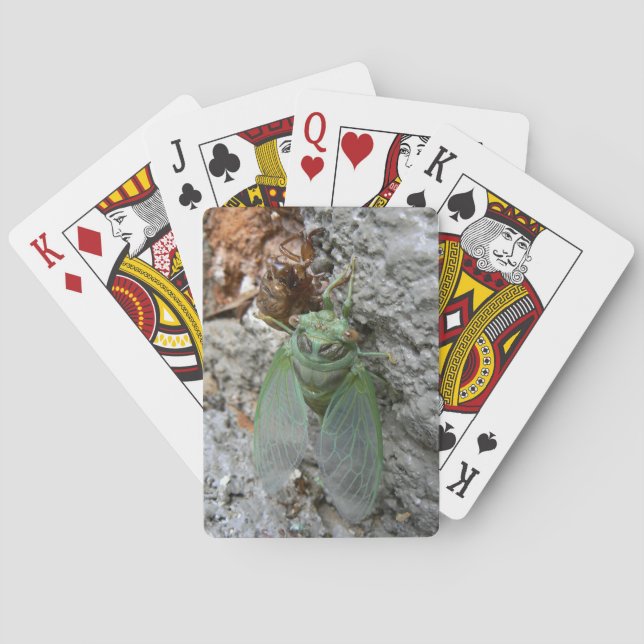 Cicada on the Wall Poker Cards (Back)