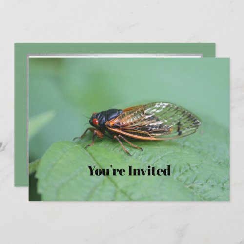 Cicada Photo Birthday Invitation