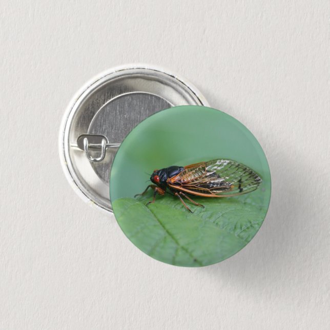 Cicada Photo Button (Front & Back)