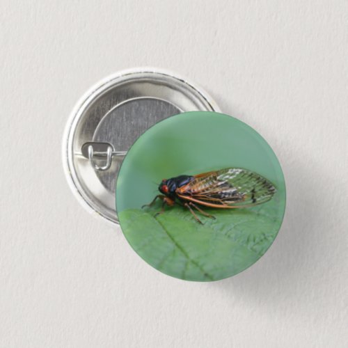 Cicada Photo Button