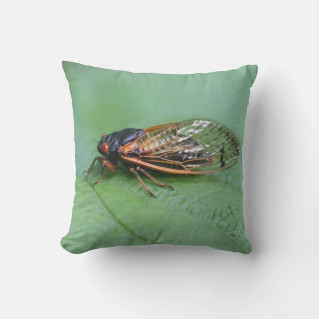 Cicada Photo Throw Pillow (Front)