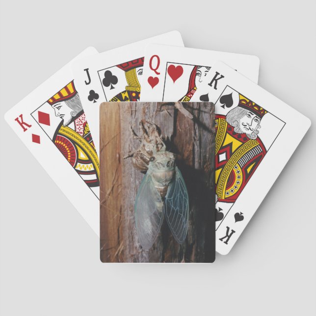 Cicada Poker Cards (Back)