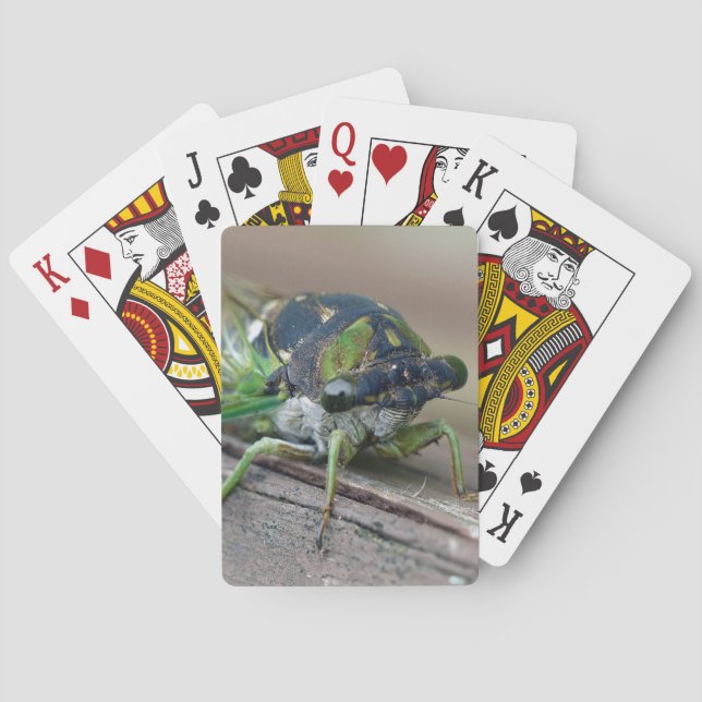 Cicada Poker Cards (Back)