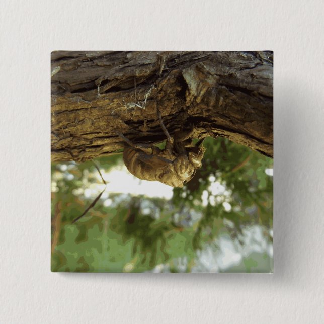 Cicada shell. It was in a hurry. Button (Front)