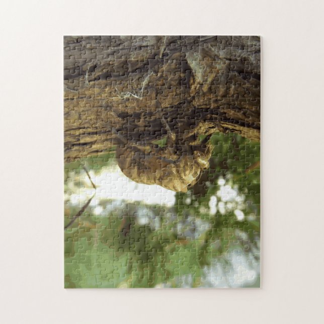 Cicada shell. It was in a hurry. Jigsaw Puzzle (Vertical)