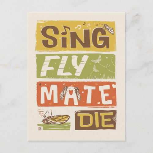 Cicada Sing Fly Mate Die Postcard