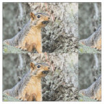 Cicada snacker fabric