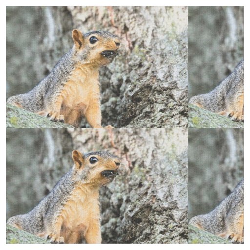 Cicada snacker fabric