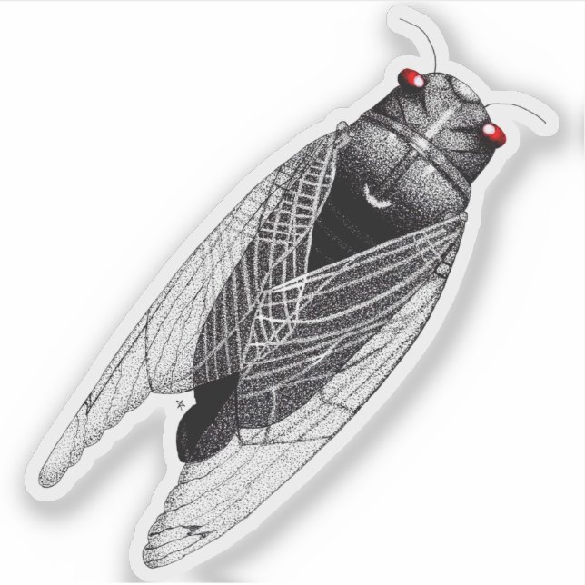 Cicada Sticker (Front)