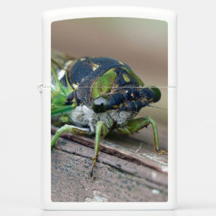 Cicada Zippo Lighter