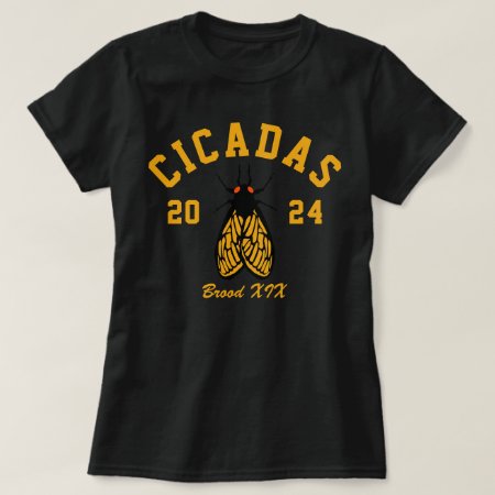 Cicadas 2024 College Style T-shirt