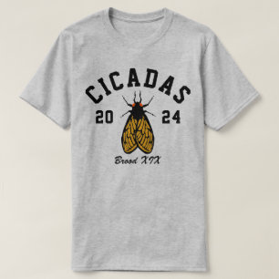Cicadas 2024 College Style T-Shirt