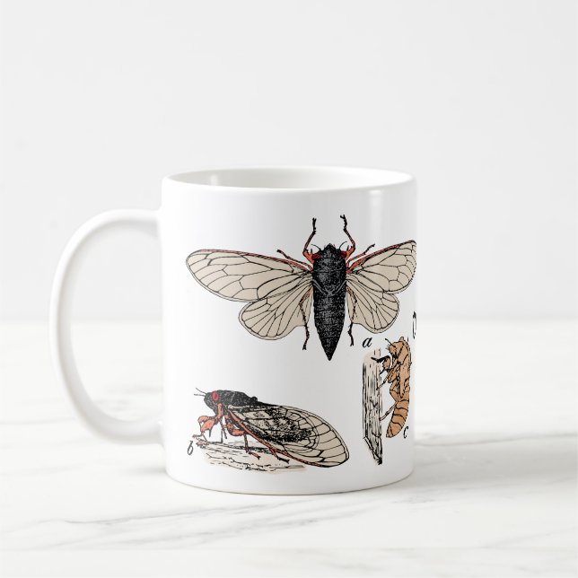 Cicadas Double Brood 2024 Mug (Left)