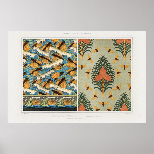 Cicadas, Flying Fish and Nautilus Shells Poster (Front)