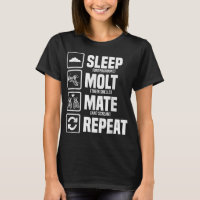 Cicadas Life Cycle Sleep Molt Mate Repeat Entomolo