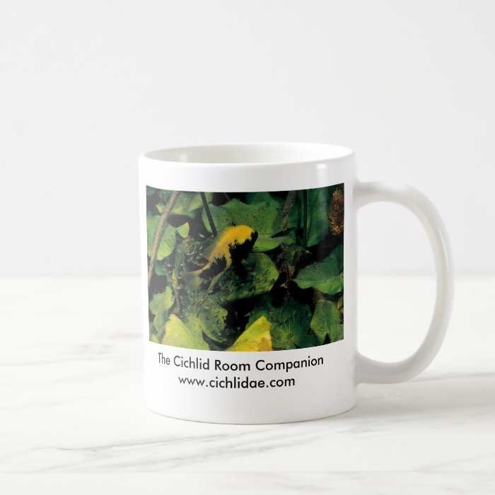 Cichlid Room Companion   Herichthys labridens Mug