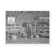 Cider and Apple Stand