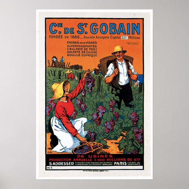Cie De St.Gobain Grape Vintage Food Ad Art Poster (Front)