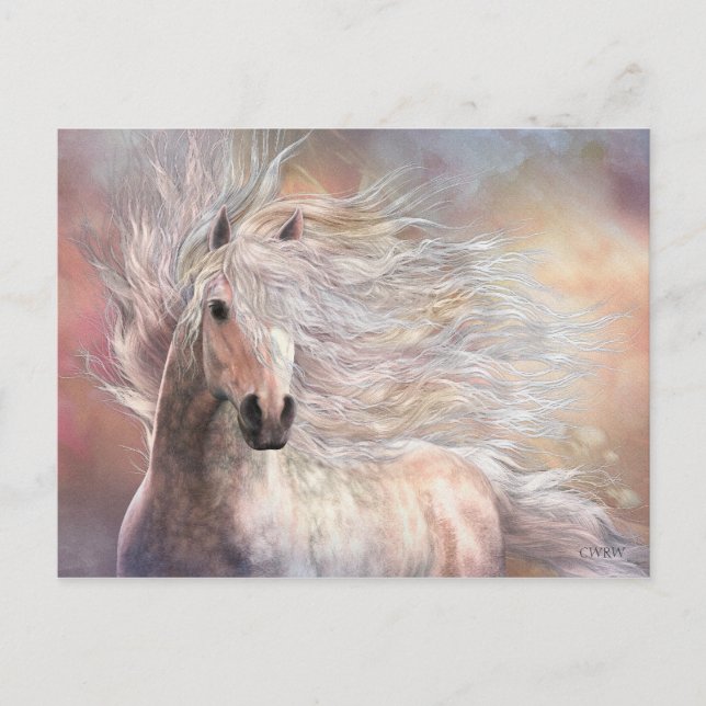 Cielo Postcard (Front)