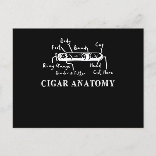 Cigar Anatomy Smoker Humidor Cutter Cigars Gift Postcard