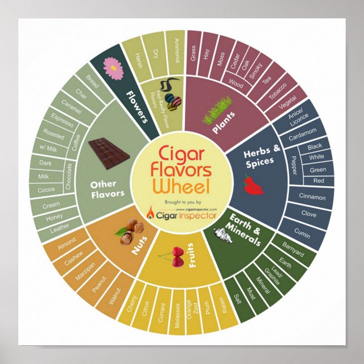 Cigar Flavors Wheel Poster | Zazzle