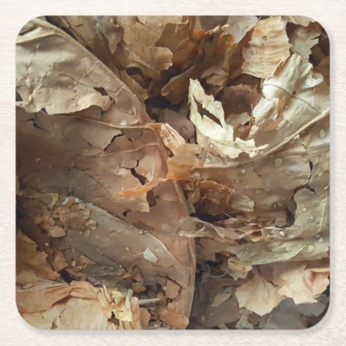 Cigar Smokers Tobacco Leaf Texture Square Paper Coaster