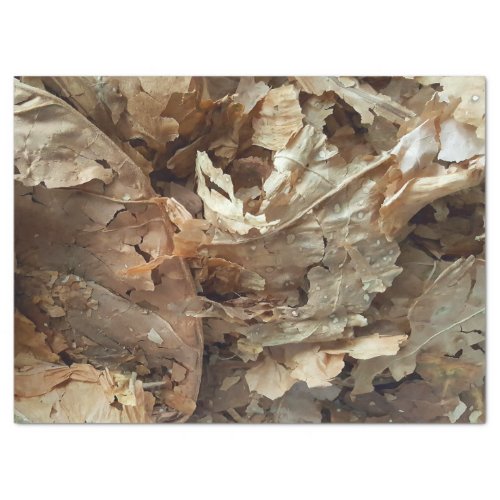 Cigar Smokers Tobacco Leaf Texture Tissue Paper