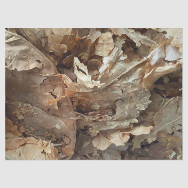 Cigar Smokers Tobacco Leaf Texture Tissue Paper (Front)