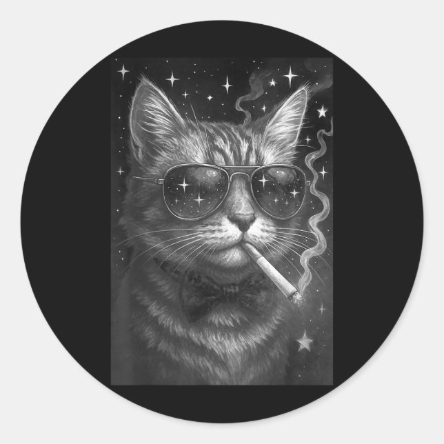 Cigarette Kitten Funny Smoking Cat Meme Stupid Bra Classic Round Sticker (Front)